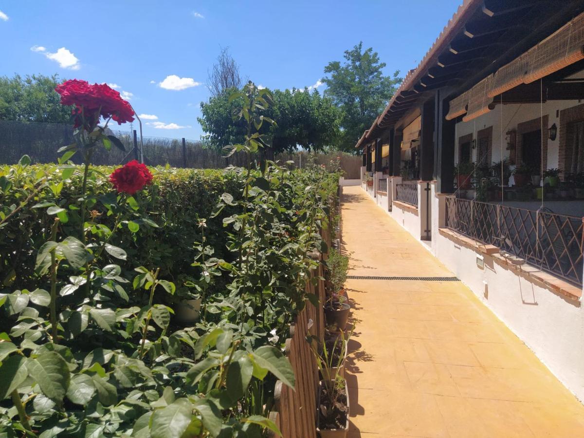 Casa Rural Alamillo Луке Экстерьер фото